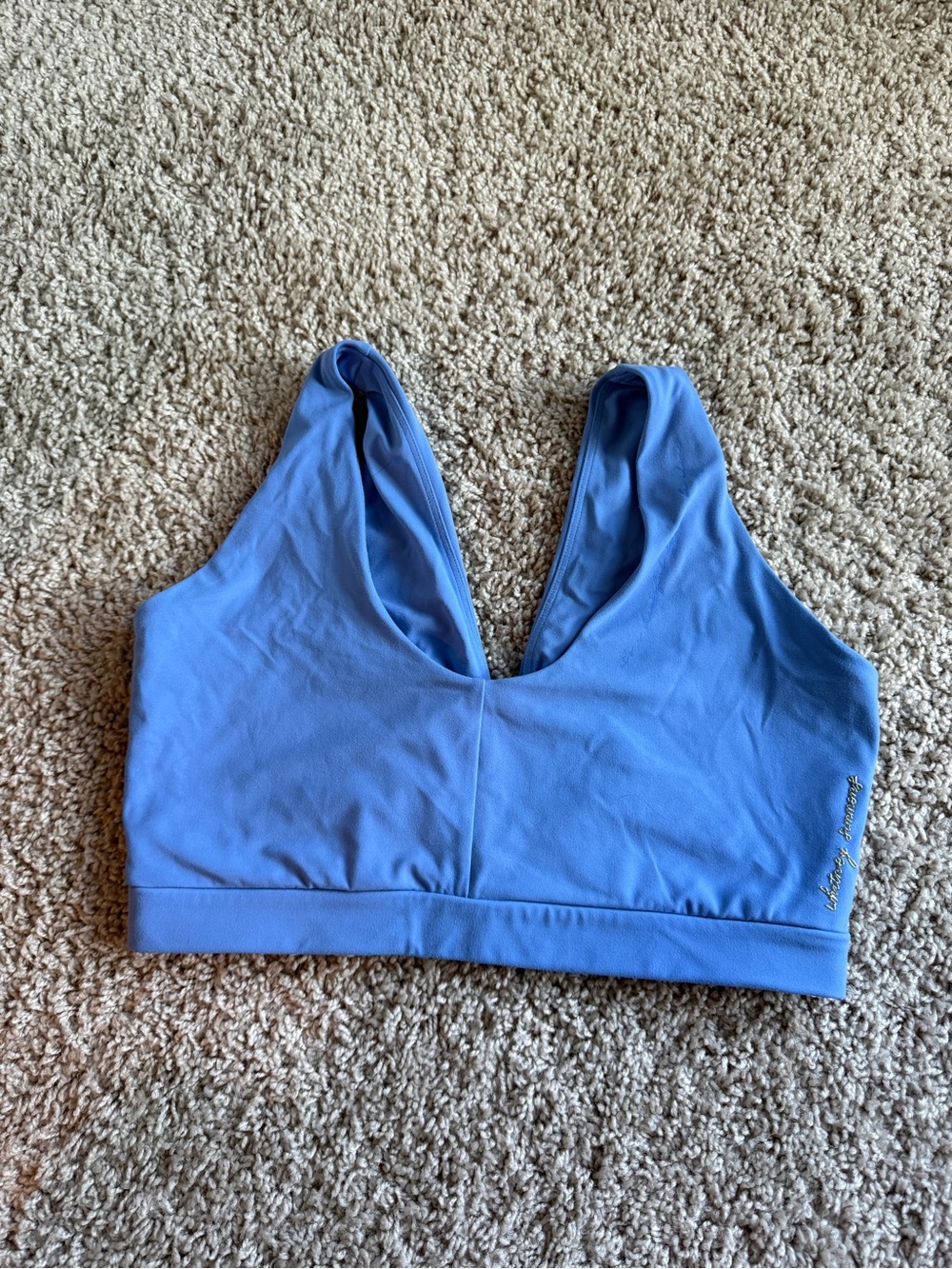 Gymshark x Whitney Simmons blue sports bra